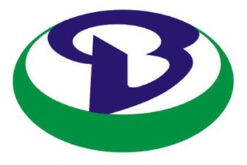 Product - Guangdong Baolong Automobile Co., Ltd. - China