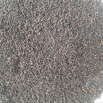 Black Pepper – product photo, Refined Black Pepper products found from trusted suppliers, wholesalers, manufacturers & exporters Listing