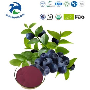 Health Food Nutrition Bilberry Extract From China Manufacture 100% Pure Nature - Jiangxi Serum Pharma Industries Co., Ltd. - China