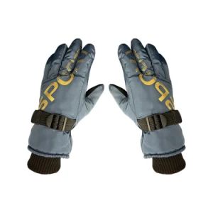 China Wholesale Snowboard Gloves Adjustable Climbing Touchscreen Cycling Ski Snow Leather Products Winter Warm Gloves - Hunan Dingguan Industry and Trade Co., Ltd. - China