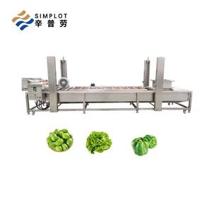 Industrial Olive Bubble Washing Machine Commercial Bubble Ozone Automatic for Olive Fruit Vegetable Processing Line - Henan Simplot Intelligent Technology Co., Ltd. - China