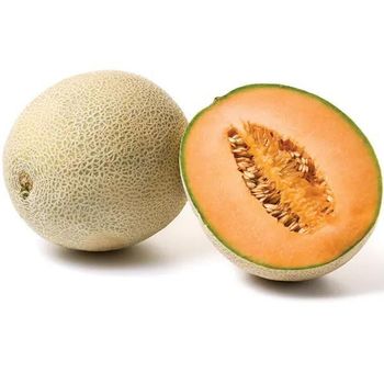 Export Quality Common Cultivation Type Nutrients Natural Sweet Fresh Melon Mellow Muskmelon - TOP CARGO COMPANY LIMITED - Vietnam