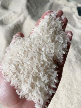 long grain white rice 5% broken - SUGRAIN PLUS CORP CO LTD - Thailand