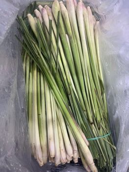 Lemongrass Flavor Lemony Aroma Fresh Citrus Origin National, Regional Essential Oil Content High Vegetable Type Root Vegetables - Great Farmer Company Limited - Vietnam