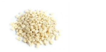 White Corn – Premium Grain for Food, Feed & Industrial Applications - UMGS GROUP PTY LTD - South Africa