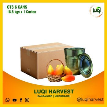 Totapuri Mango Pulp 3.1kg Canning - LUQI HARVEST - India