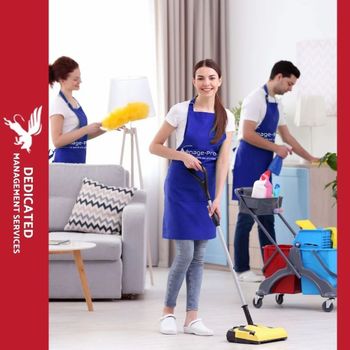 Office Boy Service - Sky Dedicated Management Services Private Limited - India