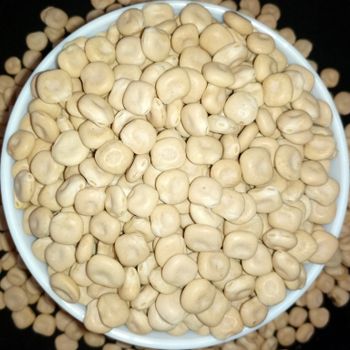 Top-shelf Brilliant White-cream Color Lupin AD Snow White Cream Dried Bitter Premium with 3 Years Shelf Life Bright White 0.5 % - A.Z TRADING P.L.C - Ethiopia