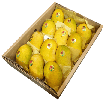 Mango – product photo, Fresh Green Mango products found from trusted suppliers, wholesalers, manufacturers & exporters Listing