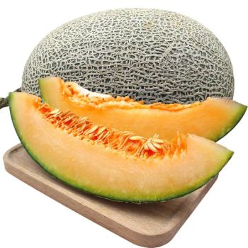 Juicy Hami Melon Dice for Sweet Cold Temperature Delights - Shanxi Yancheng Trading Co., Ltd - China