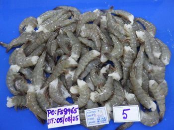 Frozen Vannamei or white leg shrimp - amigoseafood co - India