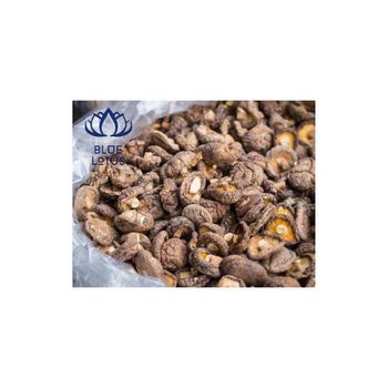 Dried Shiitake Mushroom Good Wholesale Cooking Herb Color Brown Style Dried Weight (kg) 0.5 Drying Process AD Model Number - BLUE LOTUS EXIM CO., LTD - Vietnam