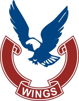 Product - Shenzhen Wings Technology Co., Ltd. - China