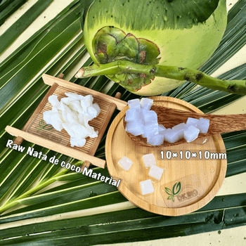 COMPRESSED NATA DE COCO size 10*10*10mm - CAN-10 - Dang Khoa Coconut Company Limited - Vietnam