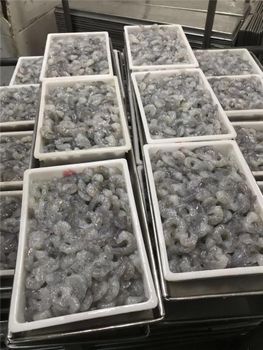 INDIAN SEAFOOD PRODUCT SHRIMPS – product photo, Seafood products found from trusted suppliers, wholesalers, manufacturers & exporters Listing