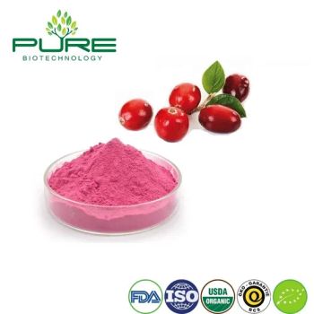 Premium Cranberry Juice Powder for Delicious Drink Mixes - Ningxia Pure Goji Biology Technology Co., Ltd. - China