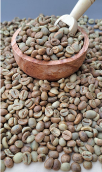 Robusta Grade 1 AA Organic No Decaffeinated No Bean Type Robusta Degree of Processing Raw - Nur - Indonesia