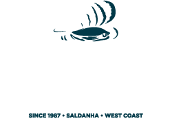 Product – product photo, Mussels products found from trusted suppliers, wholesalers, manufacturers & exporters Listing