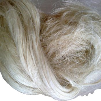 Premium Natural Sisal Fiber High Strength Durable Material For Industrial And Agricultural Applications - THE GREEN INTERNATIONAL LIMITED - Tanzania