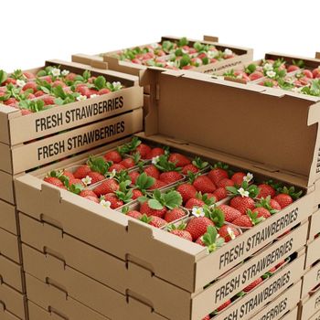 Fresh Strawberries Hand Selected Crop With High Fruit Integrity Fresh Aroma And Strong Market Demand For Wholesalers from TOSOH INTERNATIONAL Fresh Strawberries Hand Selected Crop With High Fruit Integrity Fresh Aroma And Strong Market Demand For Wholesalers - TOSOH INTERNATIONAL - South Africa