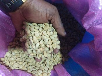 Arabica and robusta coffe - truestone mining company limited - Tanzania
