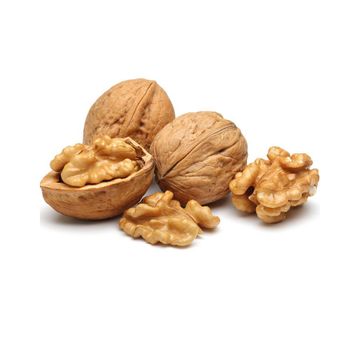 High Quality Walnut Fresh Walnut Carefully Packed And Ready For Bulk Orders And Global Shipping - malter group - Tanzania