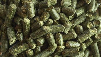 High quality Alfalfa pellets from Fresh Horizon High quality Alfalfa pellets – product photo, Recommend Fallback