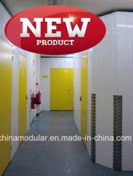 Hinged Door for Mini Storage & Warehouse (CHAM-HD001) Trademark CM Style Modern Origin China Material Steel Open Style - China Modular Holdings Limited - China