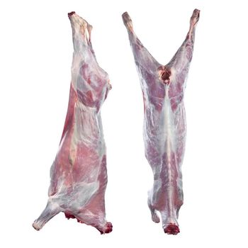 Special Offer High Quality Fresh and Frozen Goat Meat Whole Goat Leg Shoulder Cuts Bulk Supply for Buyers - PILOTEXPORT IMPORT AND EXPORT LTD - South Africa