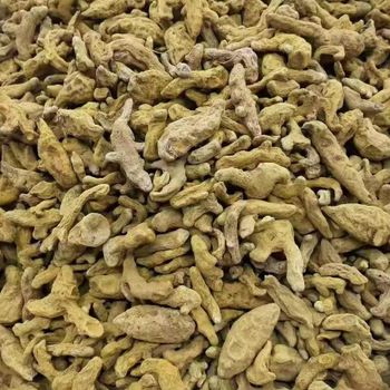 Fresh Bulk Turmeric High Quality Turmeric Powder Natural Turmeric Roots Direct From Farm - AGRO AFRIQUE COMPANY LIMITED - Tanzania
