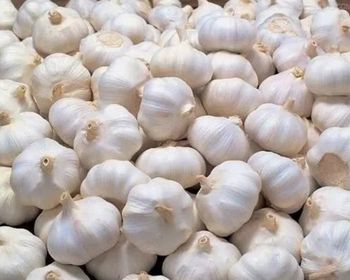 High Quality Fresh Garlic and Ginger Fresh Garlic Importer Normal White Pure White Garlic - PK Luxuries  - United States