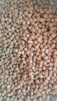 Gram - Dabheria foods exporter pvt ltd  - India
