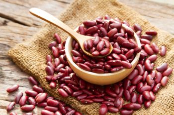 Fresh Dried Red Kidney Beans 100% Pure Bulk Wholesale High Quality Beans for Sale - AK.BOLO MEDIK LTD - Thailand