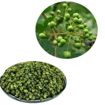 Qing Hua Jiao Dried Green Sichuan Peppercorn Chinese Spice Green Sichuan Pepper for Seasoning - Jiangsu e.Funs Import & Export Co., Ltd. - China