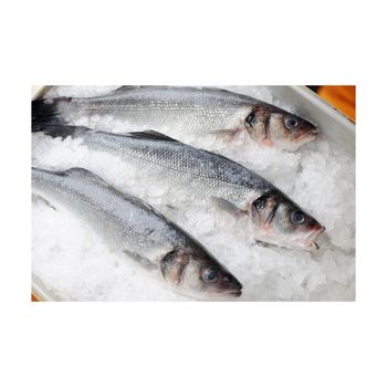 Frozen Sea Bass Fish Export Ready Whole Body Selection Featuring Firm Flesh And Naturally Appealing Appearance - TOSOH INTERNATIONAL - South Africa