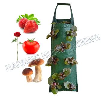China Factory Low Price Plant Grow Bags with Handles for Strawberry, Tomato, Potato, Peanut and Other Plants - Haiyang Huike Packing Co., Ltd. - China