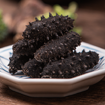 Best Selling Sea Cucumber For Best Price/ Quality Sun Dried Sea Cucumber In Bilk Orders/ Fresh Frozen Sea Cucumber For Sale - JMB  - Canada