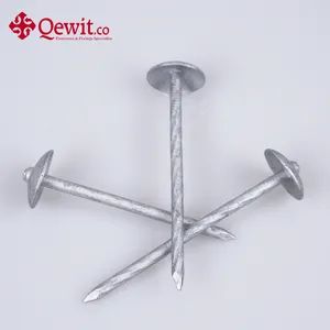 High Performance Umbrella Head Roofing Nails with Electro Galvanized Finish for Furniture - Qewitco Fasteners Co., Ltd - China