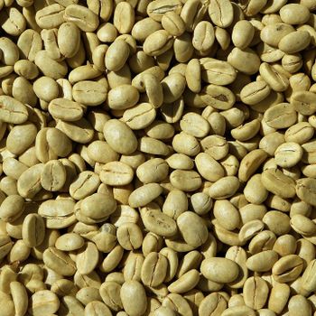 Buy Quality Organic Robusta & Arabica Raw/Roasted Coffee Beans from TZ - CUBICDIOC GENERAL SOLUTION - Tanzania