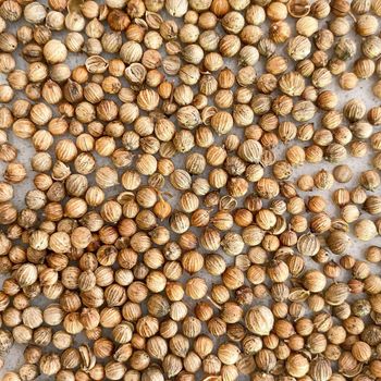 High in Nutritious Wholesale Selling Single Spices & Herbs Ground Coriander Seeds for Global Purchasers - TRADECENTRIC LLC - United States