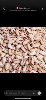 Iranian Pistachio – product photo, Nuts products found from trusted suppliers, wholesalers, manufacturers & exporters Listing