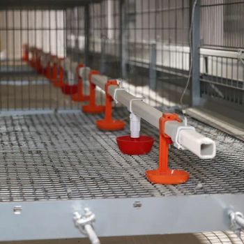 120 Chickens Breeding Poultry Layer Cage Galvanized Equipment Battery Laying Hens Egg Raise Coop - Qingdao Zhongzhijia Husbandry Machinery Co., Ltd. - China