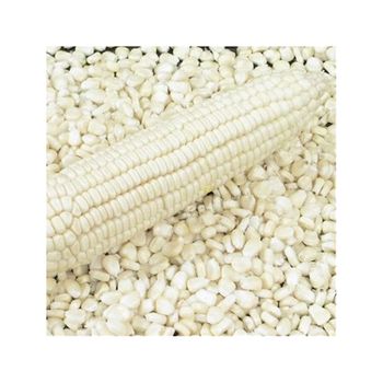 White & Yellow Corn frozenchickenexports.com