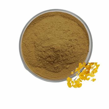 Wholesale Ginkgo Biloba Leaf Extract Powder 24% Flavone 6% Lactones Ginkgo Biloba Extract Ginkgolic acid ginkgo biloba powder - Summit Ingredients Co., Ltd. - China