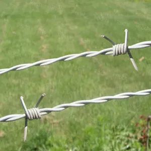 Protective Barbed Wire Double-Twisted Barbed Wire Barbed Wire Net Hot-DIP Galvanized Wire Net - Hebei Rochi Metal Products Co., Ltd - China