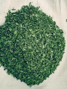 Moringa Leaves - svm organics pvt ltd - India