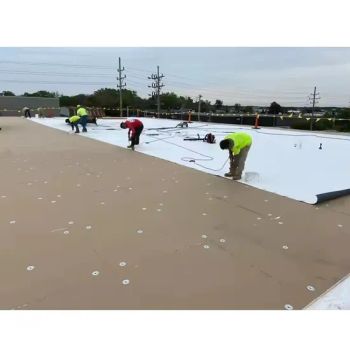 Long-Lasting Tpo Construction Waterproof Membrane Polyester Reinforced Waterproofing - Shandong Chenhua Waterproof Co., Ltd. - China