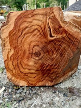 Teak square logs Material Teak Texture Square Origin Ecuatorian Variety Tiger - Ec-logexport S.A. - Ecuador