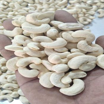 Natural Raw Cashew Nuts Sourced From Trusted Suppliers Cashew Nuts With High Quality And Competitive Pricing For Bulk from THE GREEN INTERNATIONAL LIMITED Natural Raw Cashew Nuts Sourced From Trusted Suppliers Cashew Nuts With High Quality And Competitive Pricing For Bulk - THE GREEN INTERNATIONAL LIMITED - Tanzania