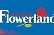Product - Flowerland - United States